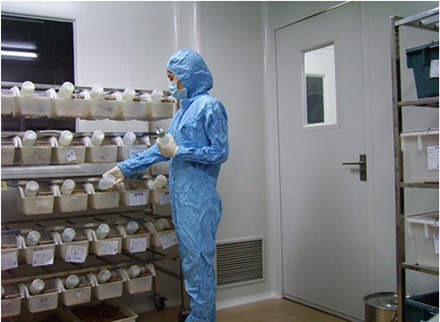 動物房實驗室裝修設計